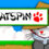 CatSpin – New Year Sale